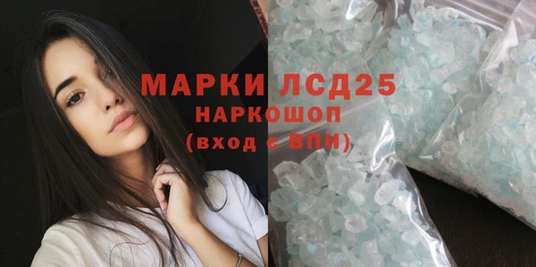 индика Алексин