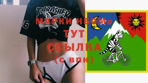хмурый Алзамай