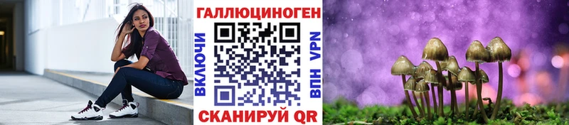 Галлюциногенные грибы GOLDEN TEACHER Плавск